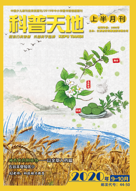 1615956772176040876.png image.png