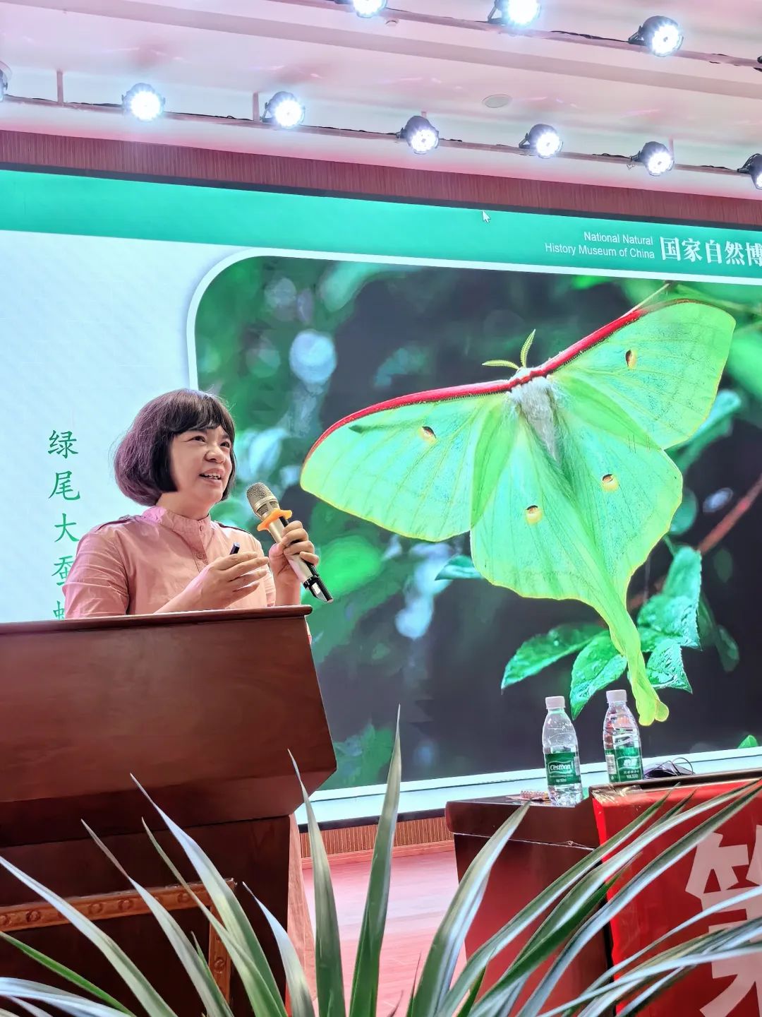 1716866432251045564.jpg 1716866432251045564.jpg